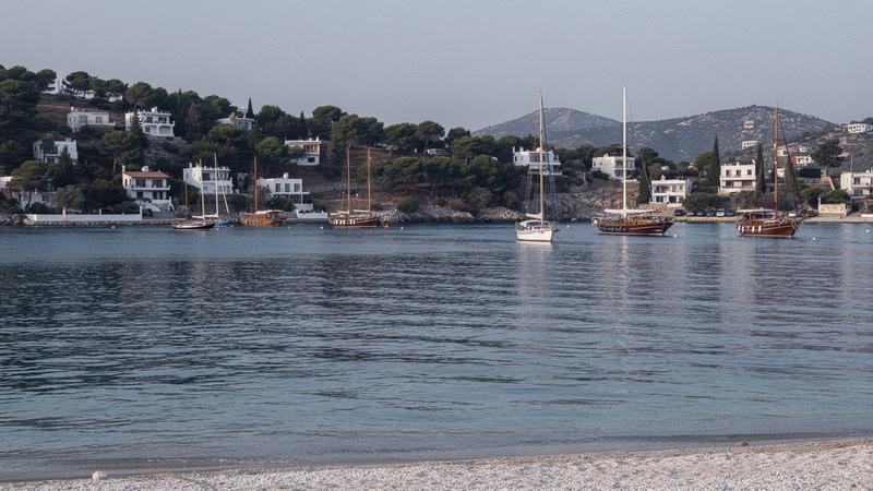 Calm Aegean bay with pine hills near Bodrum, Turkey